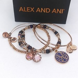 Alex and Ani Rose Gold Set Created